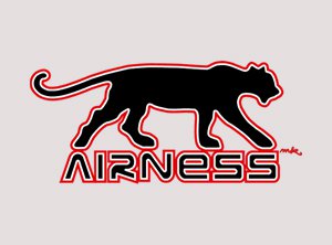 Airness