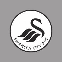 Swansea.jpg