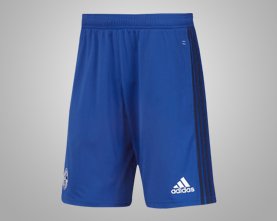 Training Shorts